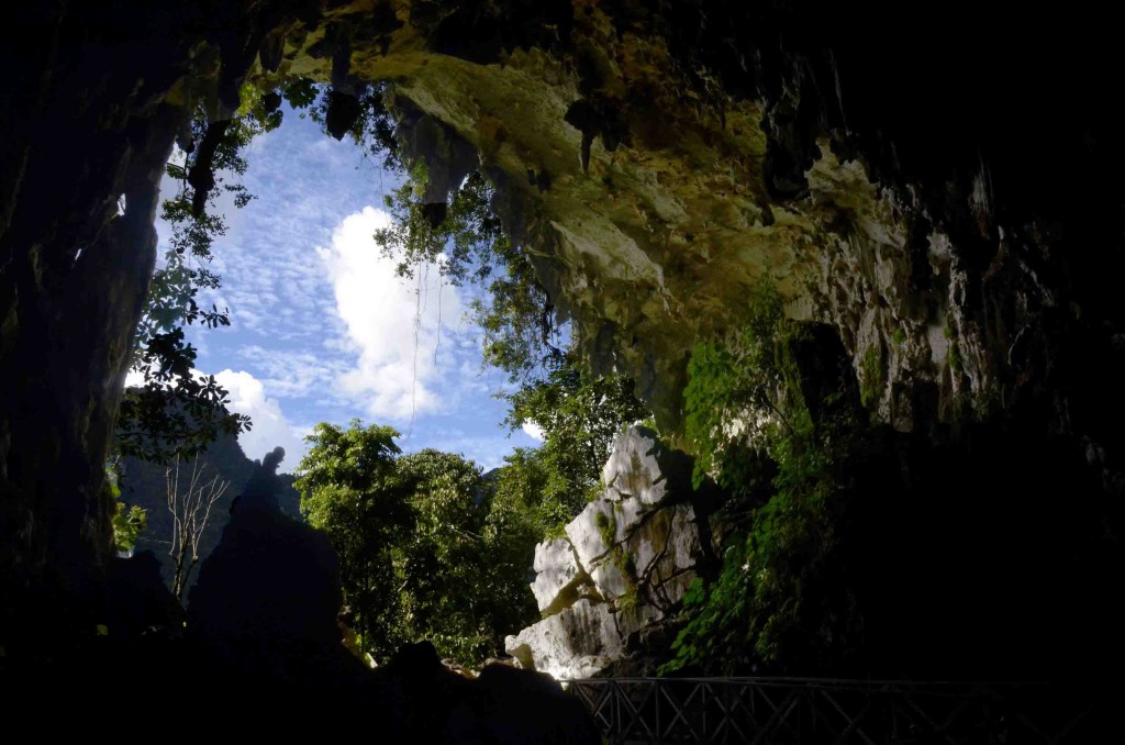 the owl s cave in the tingo maria national park peru