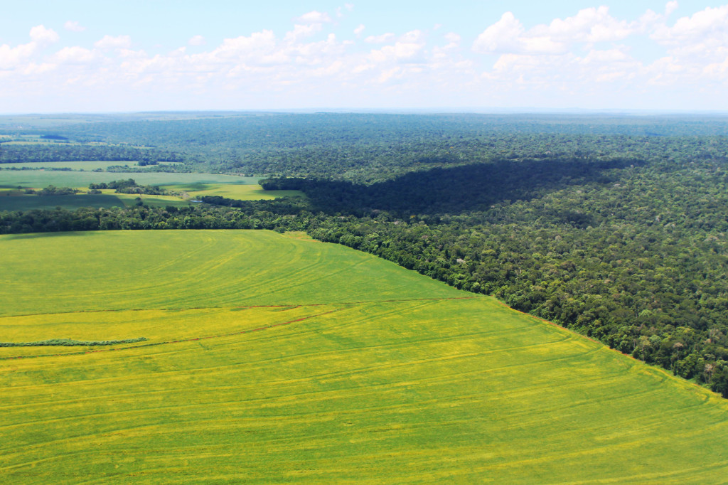 crops and national park brazil