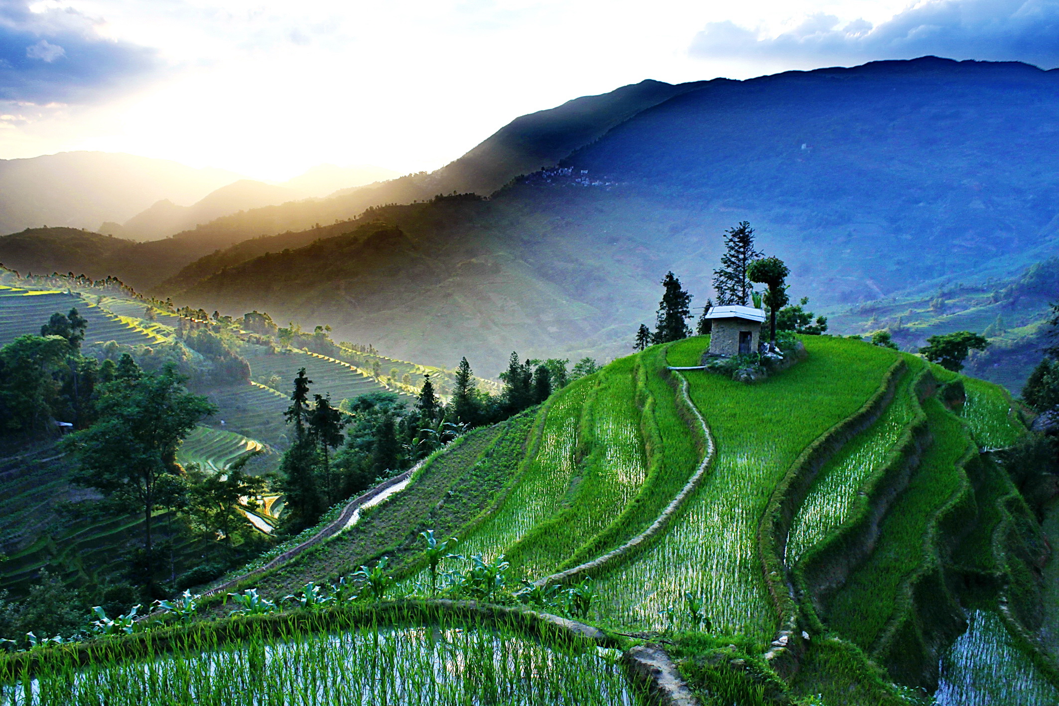 Terraced Rice Fields Of Yuanyang China 1