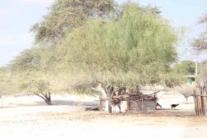a growing settlement in the desert
