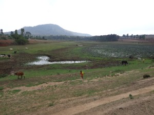 fe y conservacion para agua fresca y sustento mysore karnataka india
