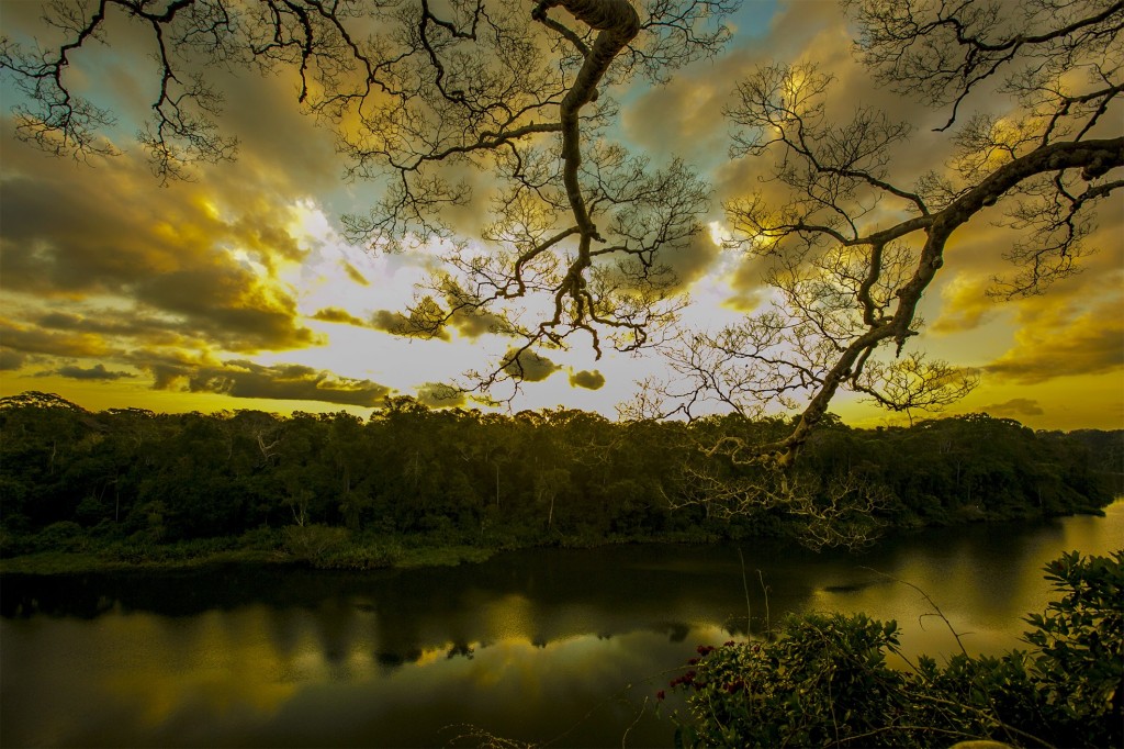 sunset over an untouched amazon rainforest peru