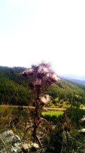 finales de otono en serbia montana kopaonik