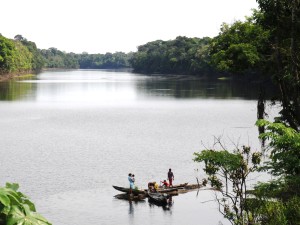 mamiraua sustainable development reserve amazon basin brazil