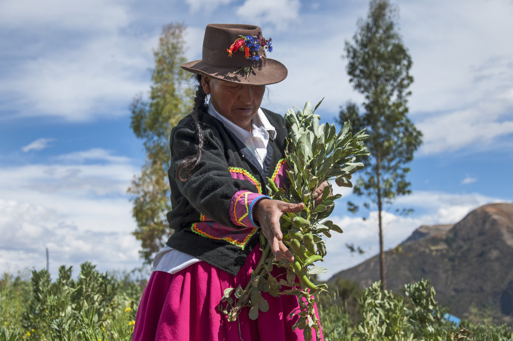  espanol marcela simbolo de la agricultura familiar peru