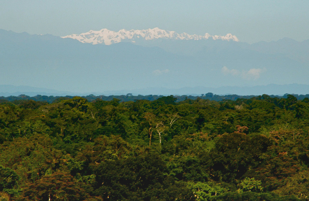 view from the amazon to the andes madre de dios peru