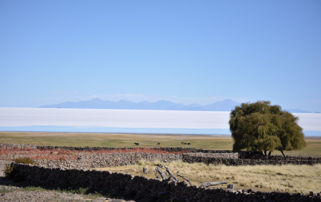 smallholder agriculture pasture and salt deposit bolivia