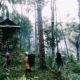 Living in harmony with the forest by Krui Tribe