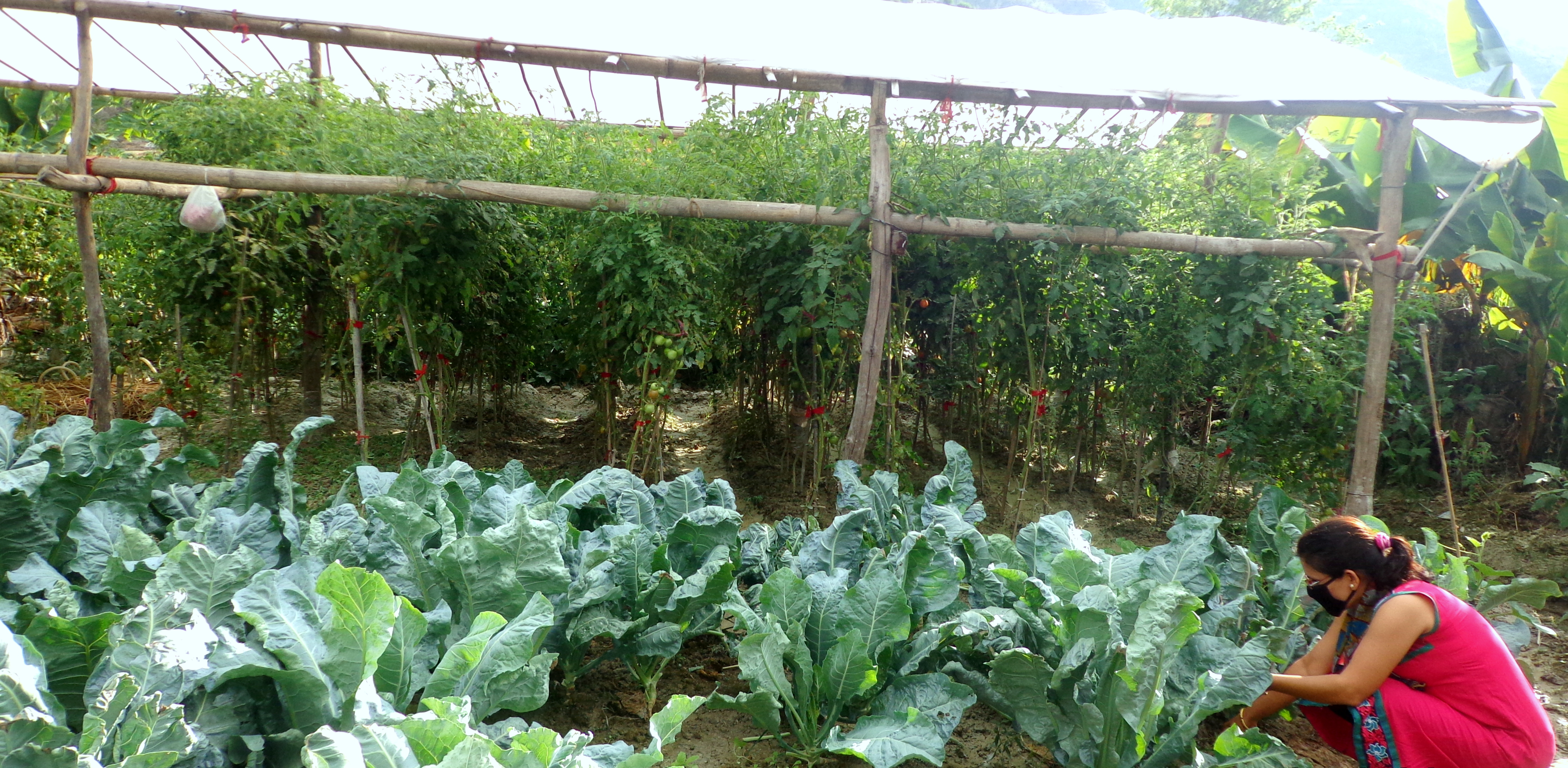 Protected Organic Agriculture