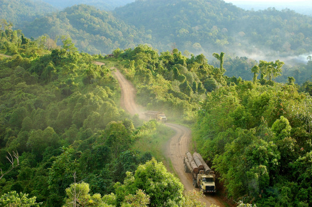 Gunung Lumut, Kalimantan Timur, Indonesia, November 2005.