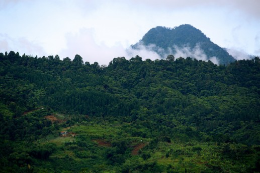 View of the Halimun-Salak National Park, West Java, Indonesia. Mokhamad Edliadi/CIFOR