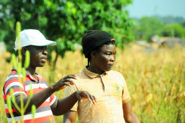 Farmer and extension agent in Ghana