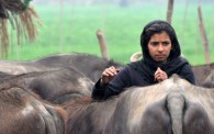 Punjab girl farmer