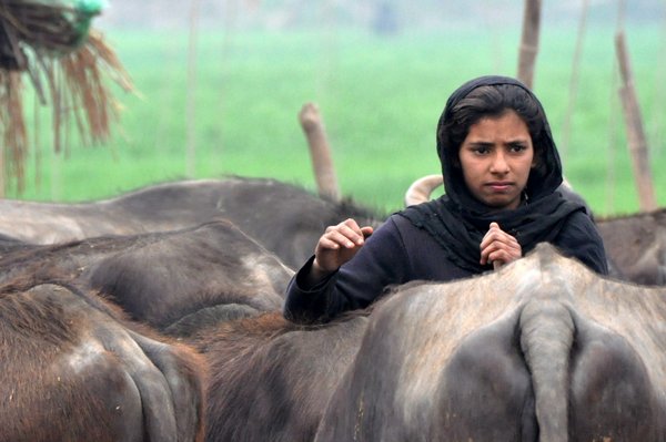 Punjab girl farmer