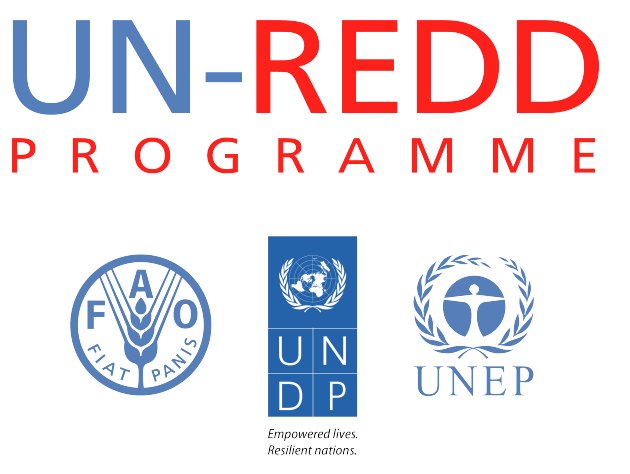 UN-REDD_full_logo_EN