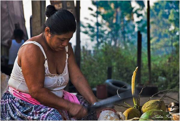 Programas de seguridad alimentaria orientados a la mitigación y adaptación al cambio climático que se están llevando a cabo en Guatemala requieren de apoyo técnico para lograr mejores resultados.
