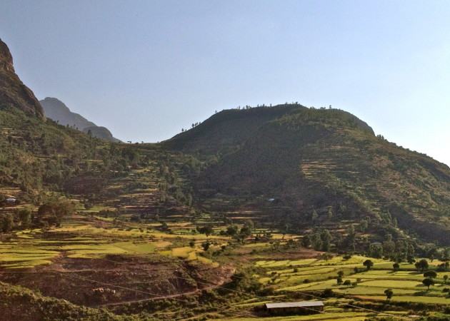 Restored landscape in Tigray, Ethiopia.
