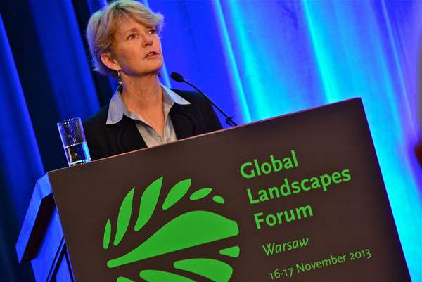 M. Ann Tutwiler, Director General of Bioversity International, speaks at the 2013 Global Landscapes Forum.