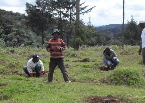 Youth from KENVO in Lari, Kenya plant trees in Kereita forest, 2012. 