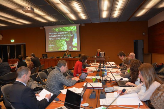 Forestry Experts_SDGs