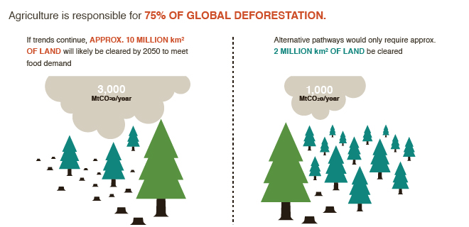 Food_Emissions_Emissions_Forestry_Land_Use-01