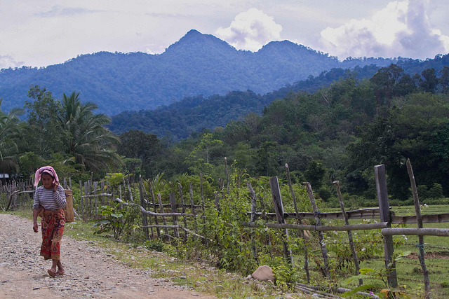 A Lubuk Beringin villager walks home from the forest at Lubuk Beringin village, Bungo district, Jambi province, Indonesia. The villagers have adhered to and implemented a number of rules in regard to forest management, such as preserving protected forests, rubber forest areas and water sources. Photo: Tri Saputro / CIFOR
