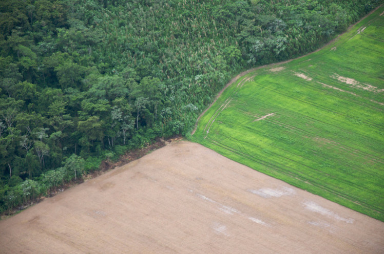 Forests meet farmlands in Santa Cruz, Bolivia. The South American country, which famously granted legal rights to nature, is grappling with how to conserve its forests while seeking food sovereignty. Sam Beebe/Flickr photo