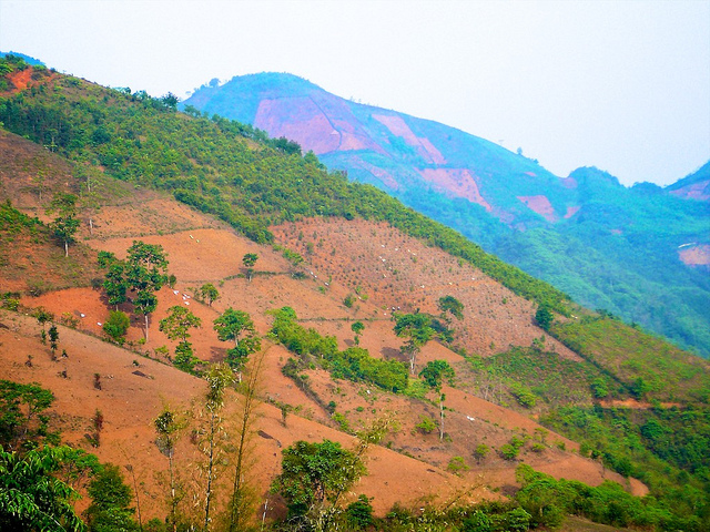 Patchwork mountain landscape of agriculture, forestry, and deforested terrain, Tianlin County, Guangxi Zhuang Autonomous Region, China. Nick Hogarth/CIFOR