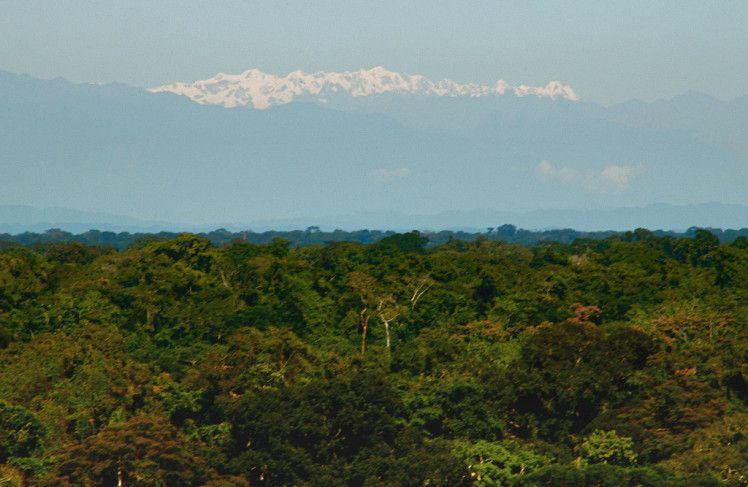 View-from-the-Amazon-to-the-Andes-Madre-de-Dios-Ausangate-Leite-Pitman-1024x667