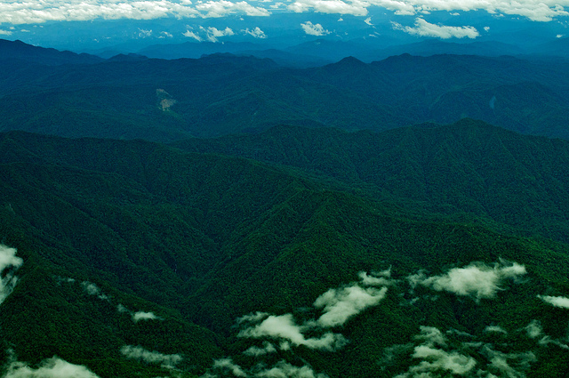 By storing carbon, forests help mitigate climate change. Aerial view of northern Papua. Photo: Mohammad Edliadi/CIFOR 