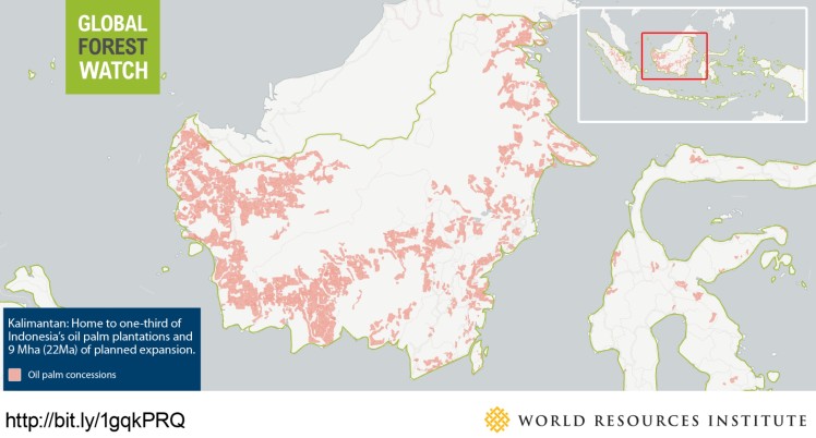 Global Forest Watch palm oil