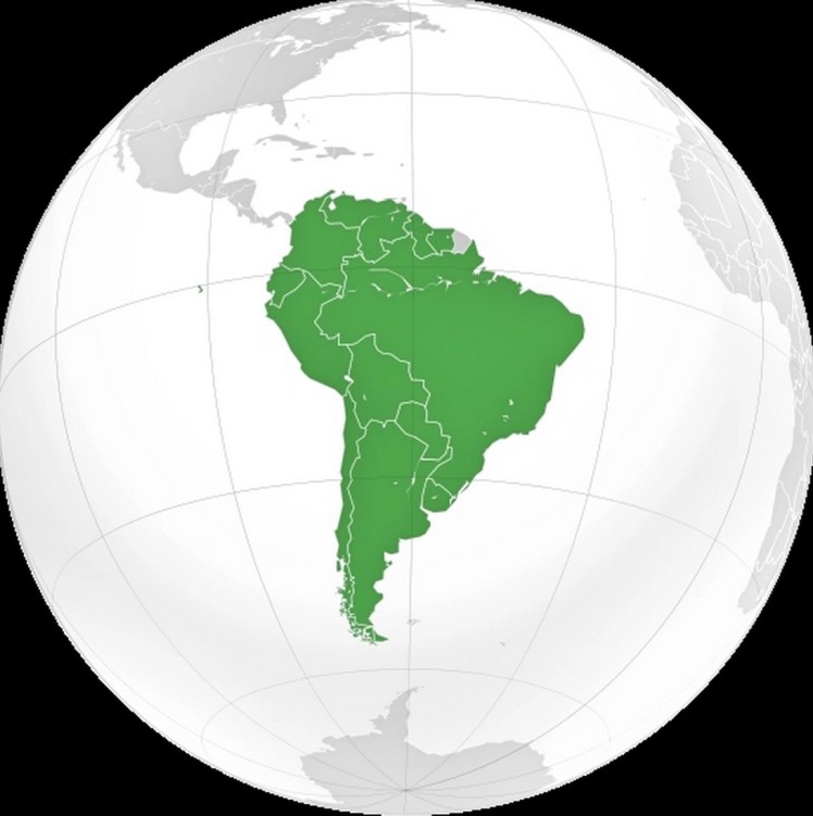 When compared to traditional financial assets, returns on investment from planted forests still looked competitive in the Latin American region. Photo: wikicommons