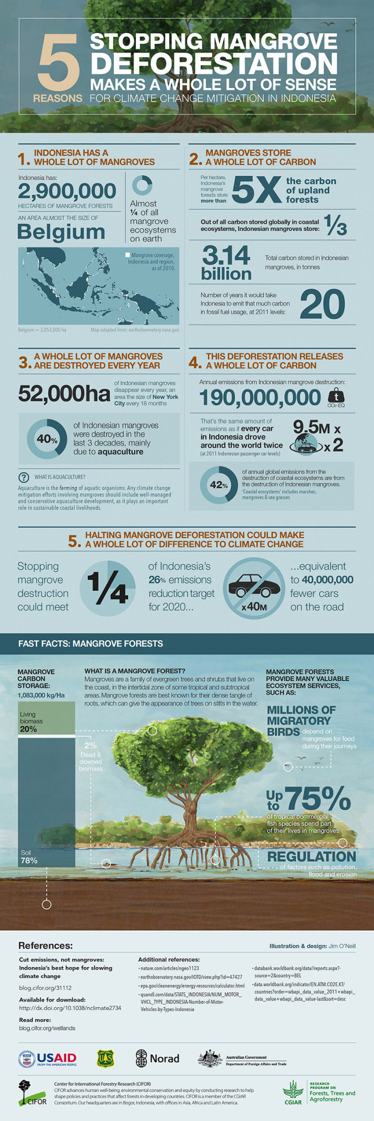 Mangrove-emissions-Infographic