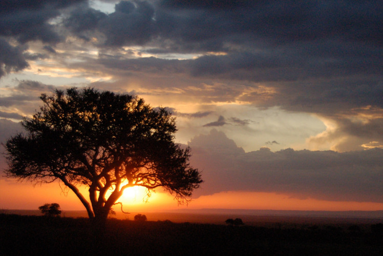 Kenya, 2009. ©Center For International Forestry Research/Tim Cronin