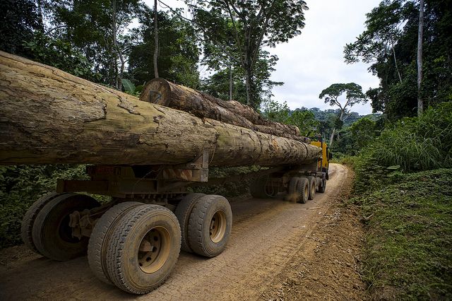 Timber transport in Cameroon. Photo Ollivier Girard (CIFOR).