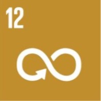 SDG12