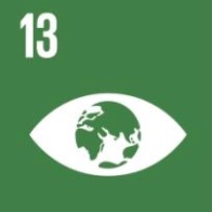 SDG13