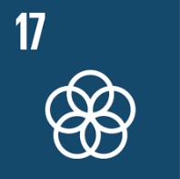 SDG17