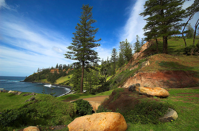 Norfolk-Island-Pines" by thinboyfatter - originally posted to Flickr as Norfolk Island. Licensed under CC BY 2.0 via Wikimedia Commons.