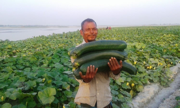 Harvesting high-value crops on transitional sandbars has helped displaced farmers to sustain a livelihood and access nutritional food for their families. International support and multi-sectoral support is needed to broaden the impact of this program.