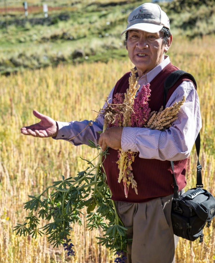 Dr. Alipio Canahua is a quinoa scientist, an activist, and a farmer, as well as a friend of Pachakuti Foods. Alexander Wankel / Pachakuti Foods.