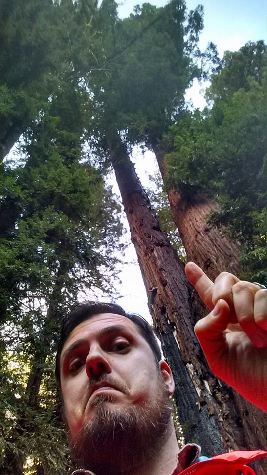 Some trees can be really, really tall.