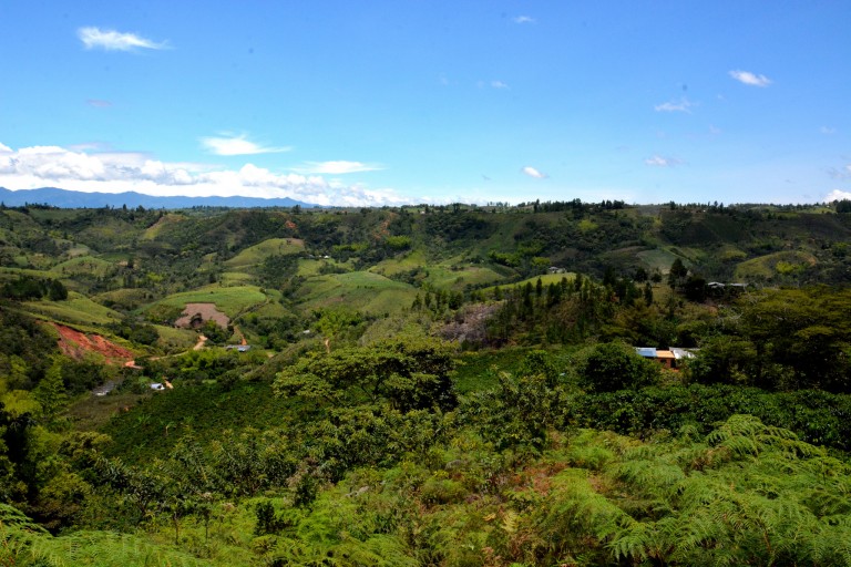 A climate-smart village in Los Cerrillos, Colombia. Photo: JL Urrea (CCAFS)