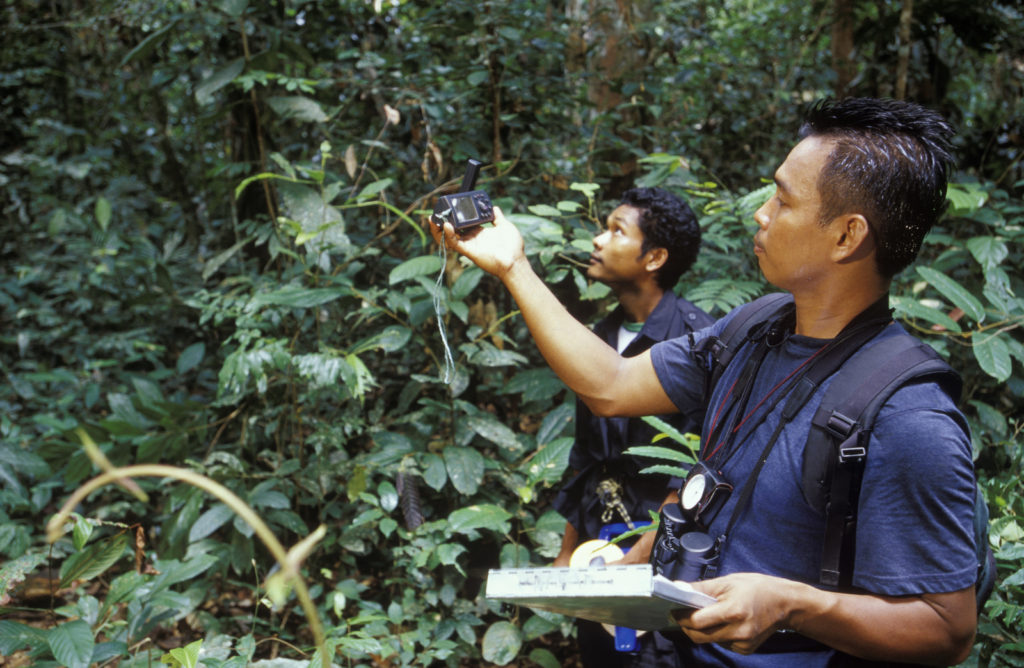 (ALL RIGHTS) TNC's Nardiyono, Team Leader Orangutan Nest Survey, uses a GPS to plot location during survey work in the Lesan River Orangutan Survey site in the forest of East Kalimantan, Borneo, Indonesia. Photo credit: © Mark Godfrey/TNC