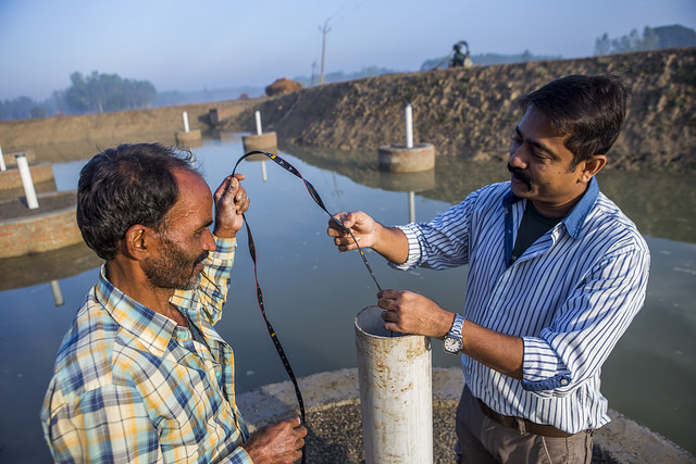water testing india