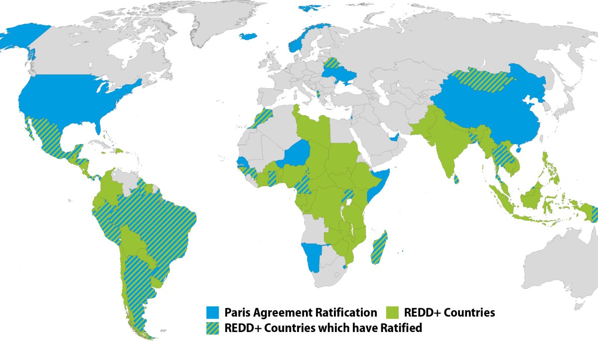 At least 19 of the 60 countries to ratify the Paris Agreement are also engaged in REDD+ efforts. Source: UNTC.