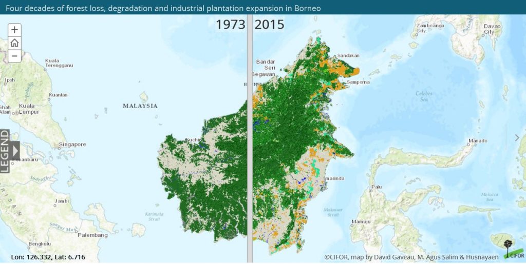 Launching the Borneo Deforestation Atlas